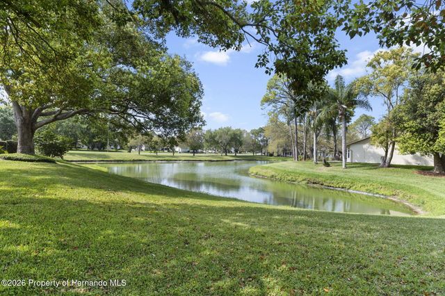 3047 Rippling Brook Way, Spring Hill, FL 34606