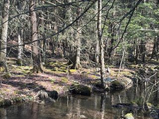 46 Pine Grove Rd, Kerhonkson, NY 12446