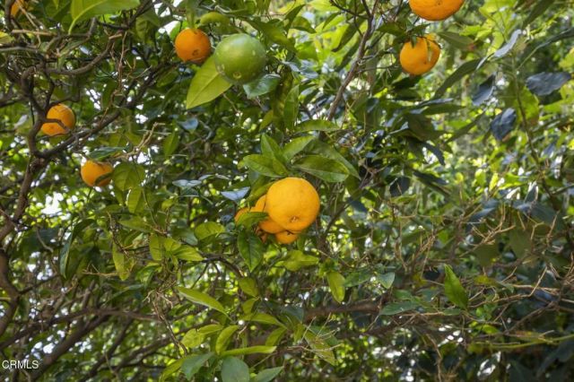 258 Mara Avenue, Ventura, CA 93004