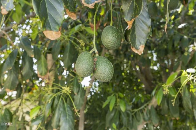 258 Mara Avenue, Ventura, CA 93004