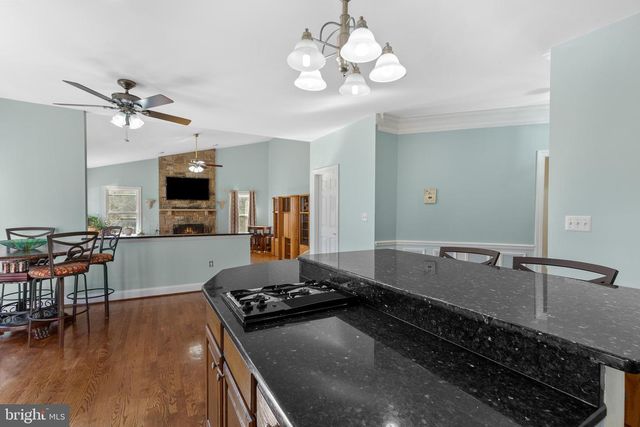 19105 PEACH BLOSSOM CT, Gaithersburg, MD 20879