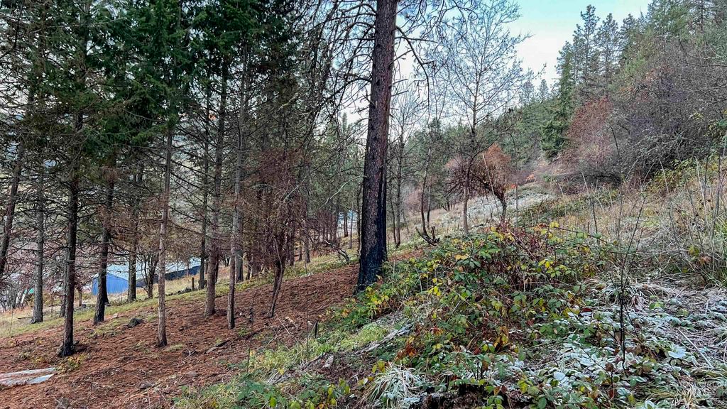 TBD Pine St Blk 43, Lot 1, Peck, ID 83545 photo 15