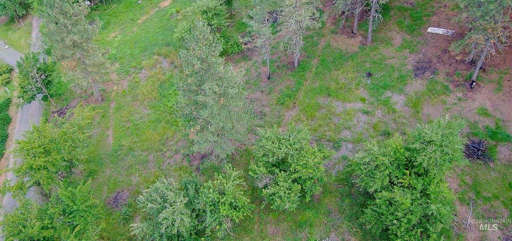 TBD Pine St Blk 43, Lot 1, Peck, ID 83545 photo 17