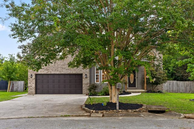 9667 Ashton View Drive, Chattanooga, TN 37421