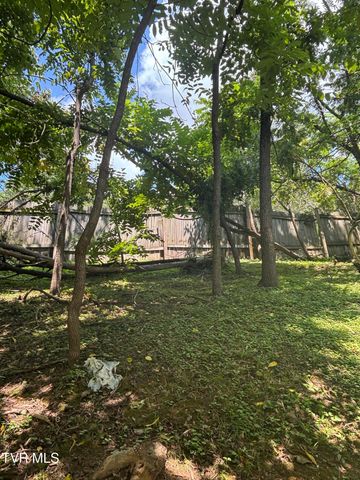 2820 2822 Plymouth Road, Johnson City, TN 37601