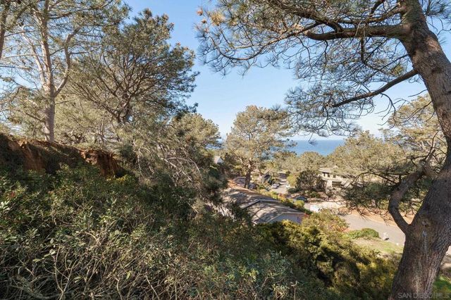 0 Hidden Pines Rd, Del Mar, CA 92014