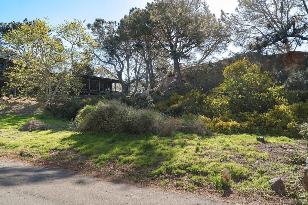 0 Hidden Pines Rd, Del Mar, CA 92014 — photo 3