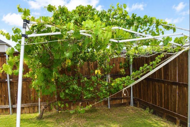 693 Durian LOOP, Buda, TX 78610