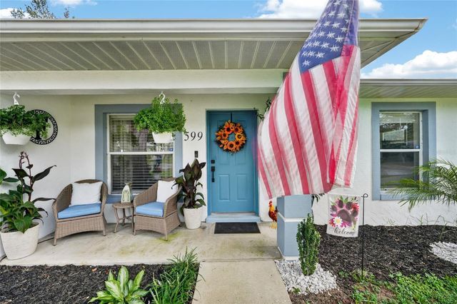 599 MAGNOLIA RIDGE AVENUE, Tavares, FL 32778