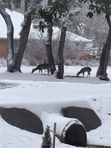 2924 Monet Court, Flower Mound, TX 75022