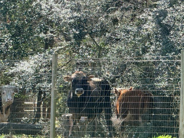 2924 Monet Court, Flower Mound, TX 75022