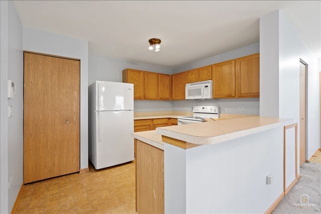1515 Silverstone Drive 1515, Carpentersville, IL 60110