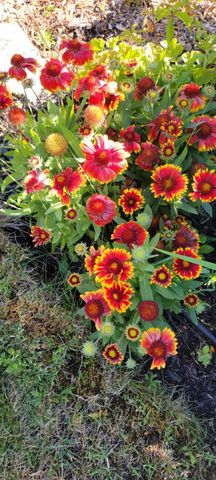 26 Carlson Lane, West Barnstable, MA 02668