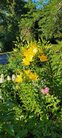 26 Carlson Lane, West Barnstable, MA 02668