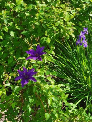 26 Carlson Lane, West Barnstable, MA 02668