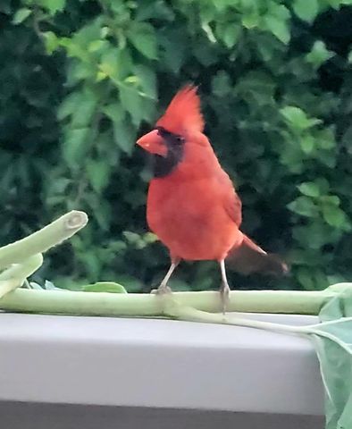 26 Carlson Lane, West Barnstable, MA 02668