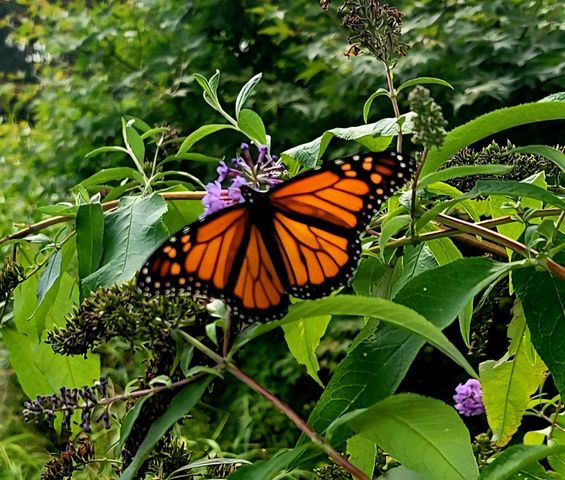 26 Carlson Lane, West Barnstable, MA 02668