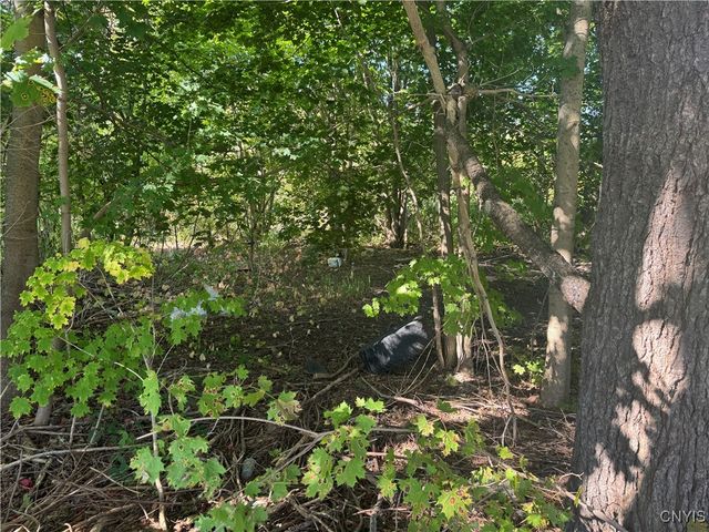 733 Alexandria Street, Wilna, NY 13619