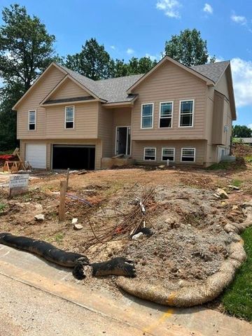3808 SW McDanial Avenue, Blue Springs, MO 64015