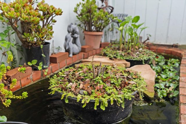 2837 Bowen St, Graton, CA 95444