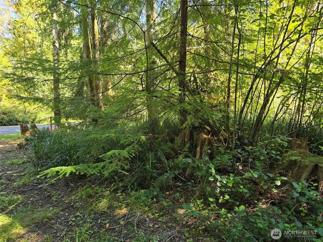 100 E Liberty Road, Shelton, WA 98584