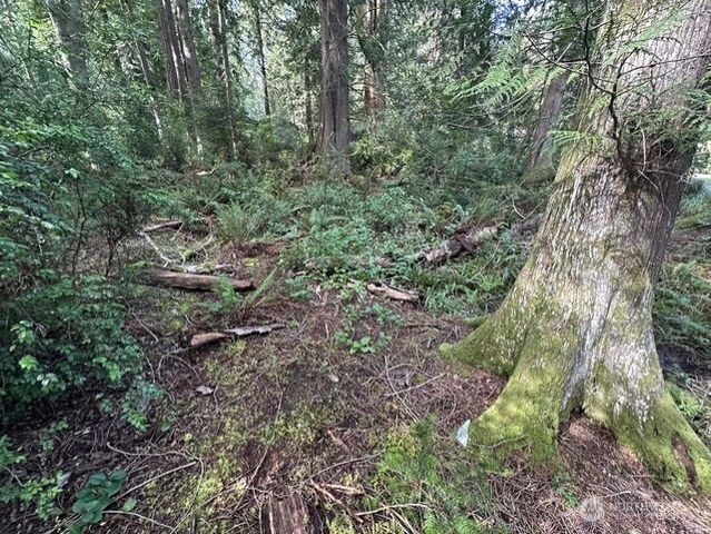 100 E Liberty Road, Shelton, WA 98584