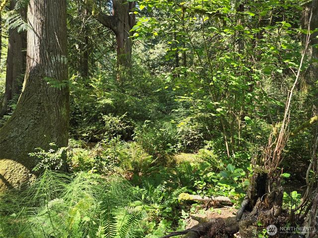 100 E Liberty Road, Shelton, WA 98584