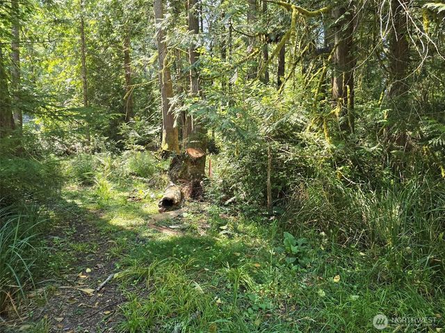 100 E Liberty Road, Shelton, WA 98584