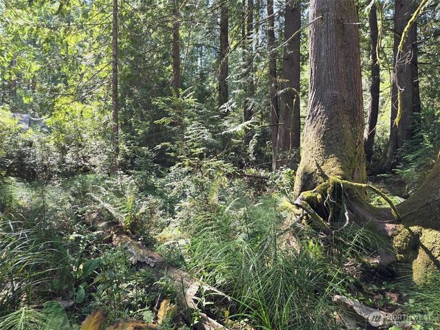 100 E Liberty Road, Shelton, WA 98584