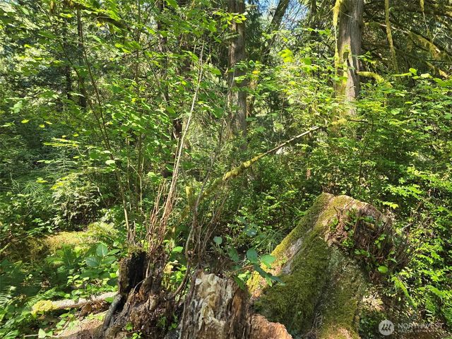 100 E Liberty Road, Shelton, WA 98584