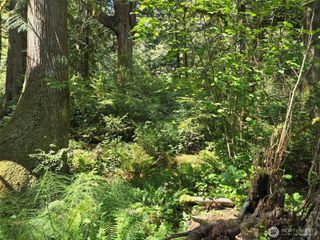 100 E Liberty Road, Shelton, WA 98584