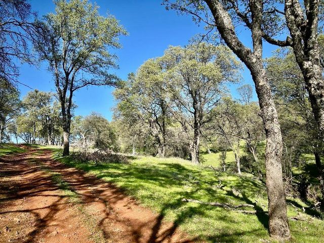 790 Los Verjeles Rd, Bangor, CA 95901