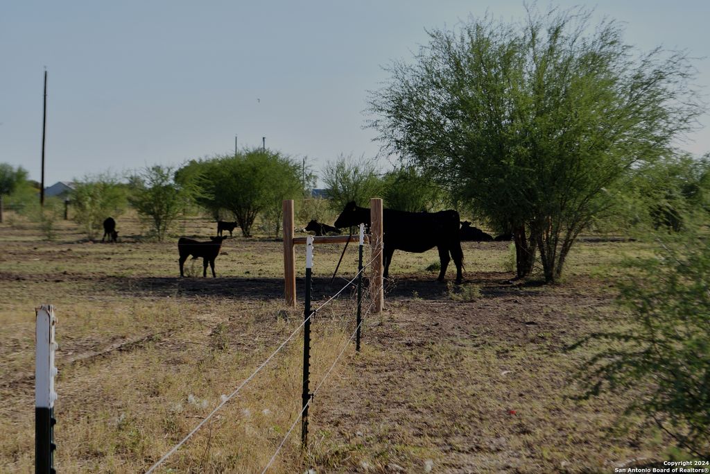 3211 CR 301, Knippa, TX 78870