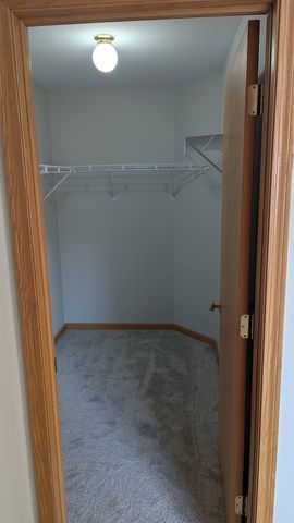 28764 W Pond View Drive 28764, Lakemoor, IL 60051