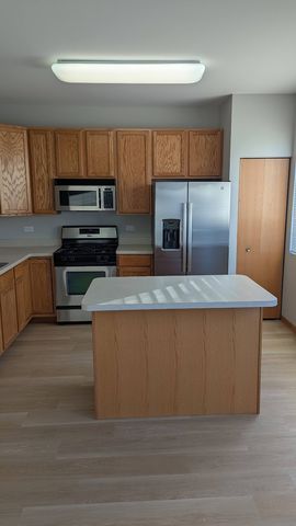 28764 W Pond View Drive 28764, Lakemoor, IL 60051