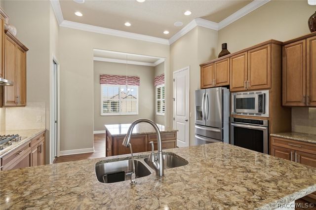 1542 N Ridge Meadow Path, Hernando, FL 34442