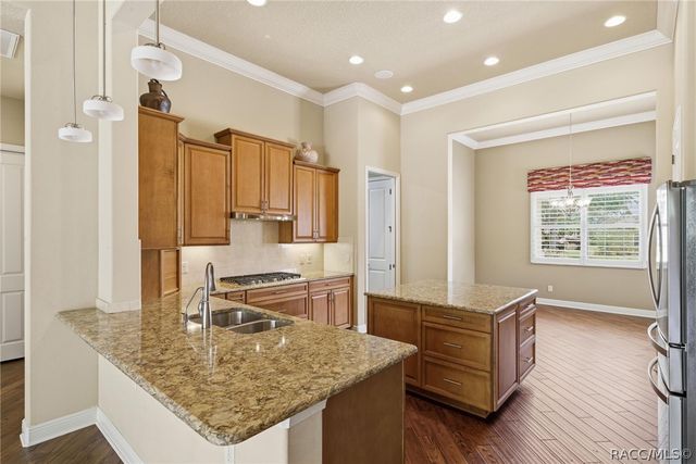 1542 N Ridge Meadow Path, Hernando, FL 34442