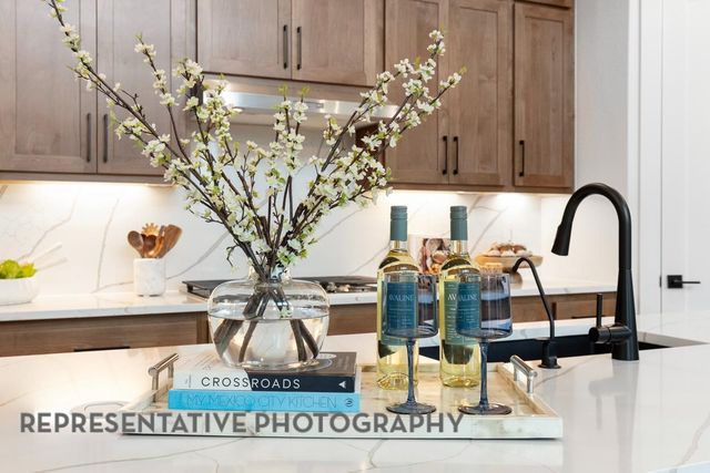 3725 American Paint Drive, Aubrey, TX 76227