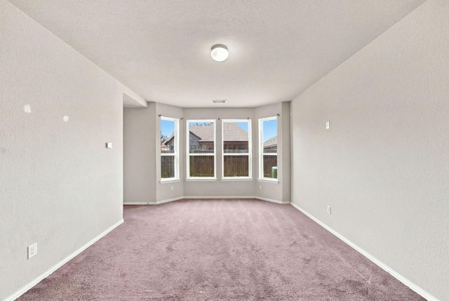 3715 Allegro Drive, Rosharon, TX 77583