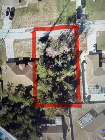 11230 MONTCALM ROAD, Spring Hill, FL 34608