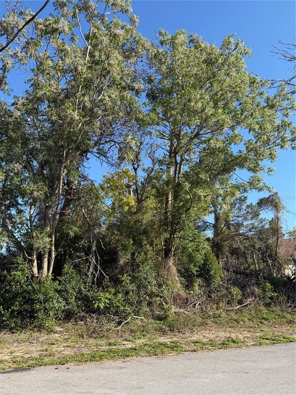 11230 MONTCALM ROAD, Spring Hill, FL 34608