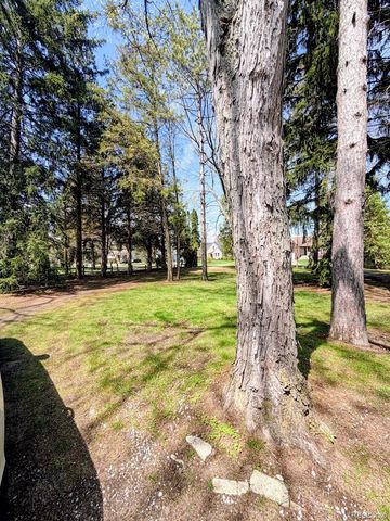 8420 Pacton Drive, Shelby Charter Township, MI 48317