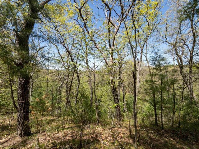 Fern Ave & 3142 2nd Court, Oxford, WI 53952