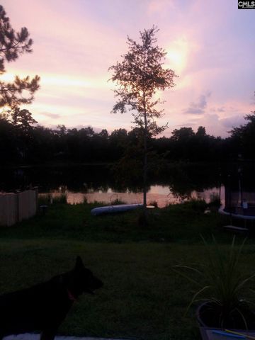 405 Magnolia Tree Road, Lexington, SC 29073