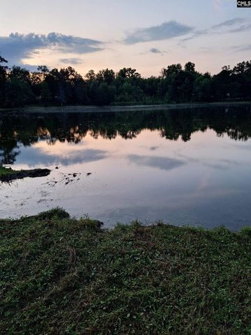 405 Magnolia Tree Road, Lexington, SC 29073