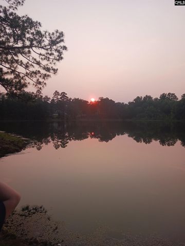 405 Magnolia Tree Road, Lexington, SC 29073