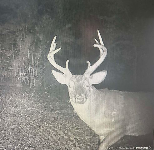 12724 Pittman Rd, St Francisville, LA 70775