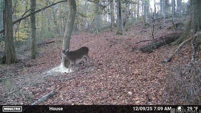 12724 Pittman Rd, St Francisville, LA 70775