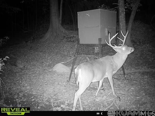 12724 Pittman Rd, St Francisville, LA 70775