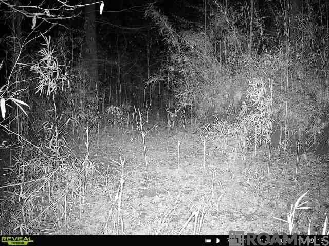 12724 Pittman Rd, St Francisville, LA 70775